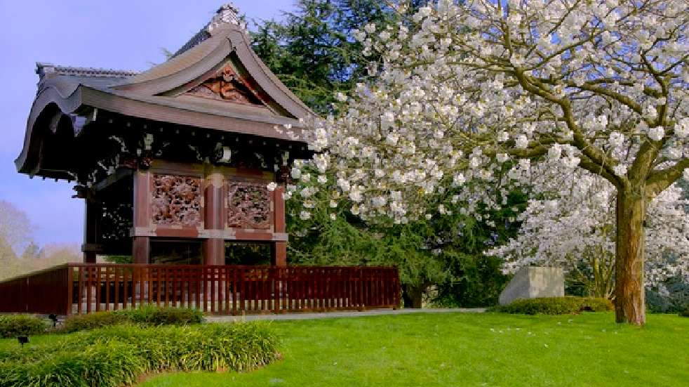 japanese garden at kew
